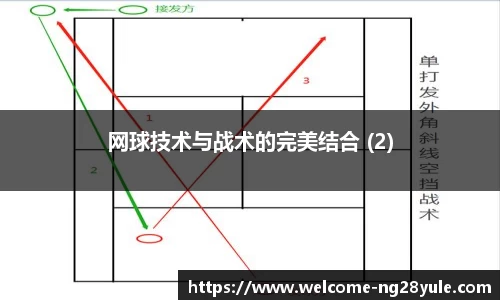 网球技术与战术的完美结合 (2)